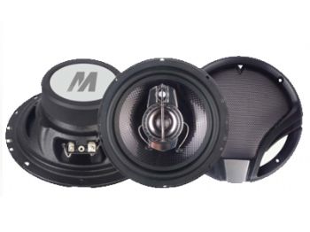 MCB6531